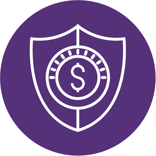 Money Shield icon